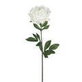 25" White Peony Stem