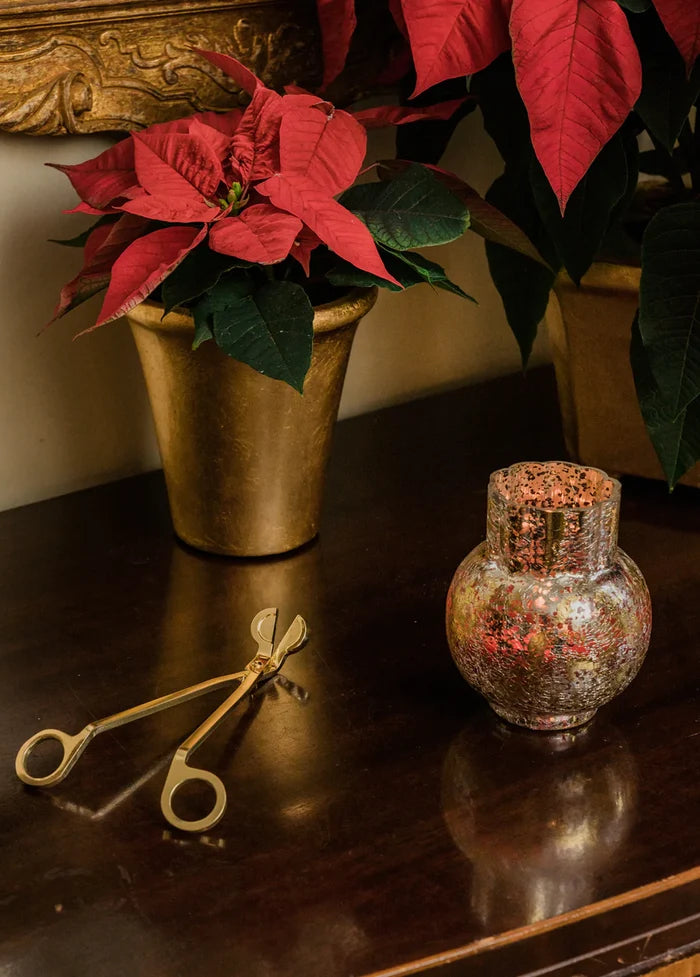 Aromatique Smell of Christmas Candle, 7 oz