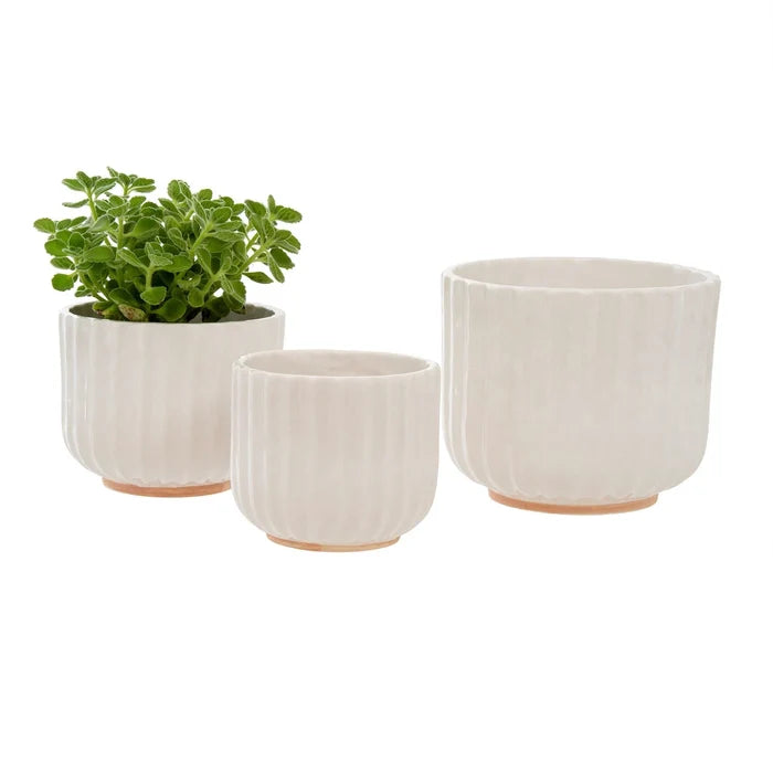 Indaba - Granada Planters White| Assorted Sizes