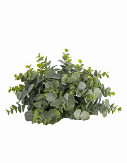 Medium Eucalyptus 1/2 Ball