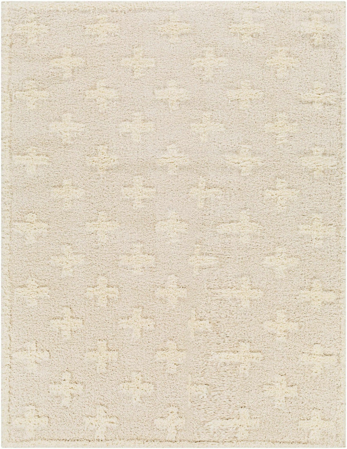Modern Contemporary Beige Geometric pattern Machine Woven Area Rug - The Rug Decor