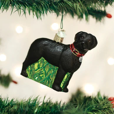 Old World Christmas - Standing Black Lab