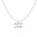 Olivia | Silver Zodiac Signs Necklace