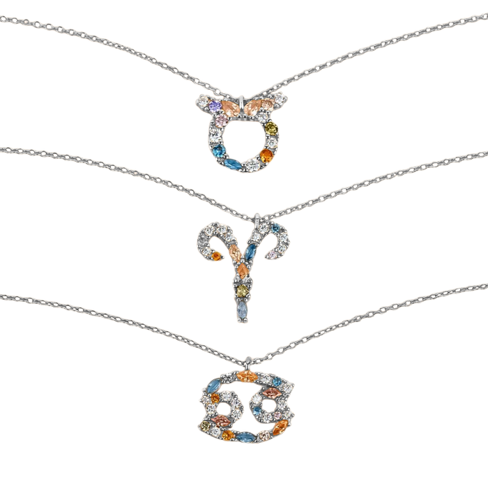 Olivia | Silver Zodiac Signs Necklace