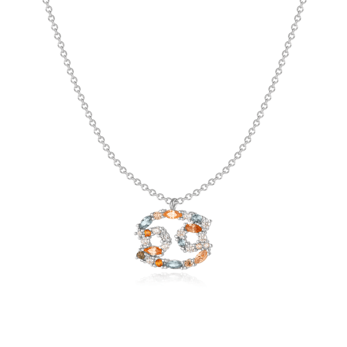Olivia | Silver Zodiac Signs Necklace