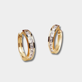 Paolina | Gold-Plated Elegant Crystal Earrings