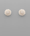 Round Pearl & Gold Studs